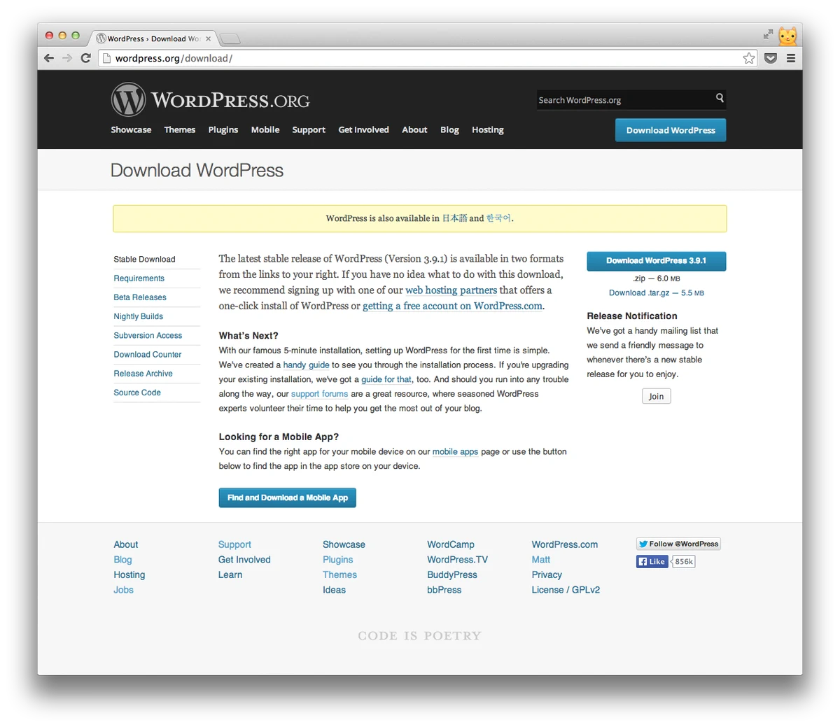 wordpress website