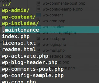 .Maintenance file